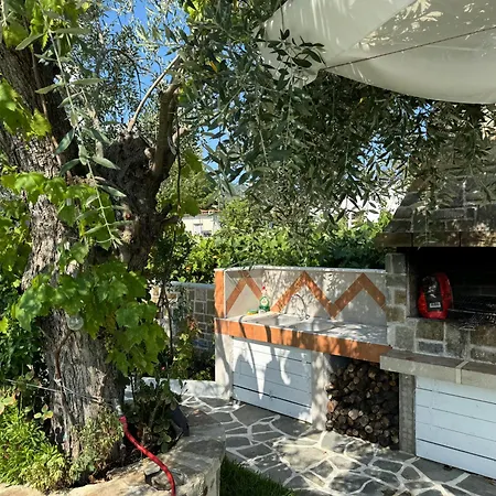 Violeta לימנאס